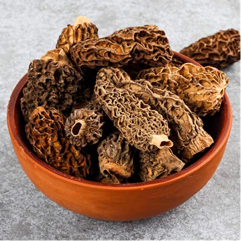 Dry Gucchi Mushrooms Jumbo (Morels) 25g